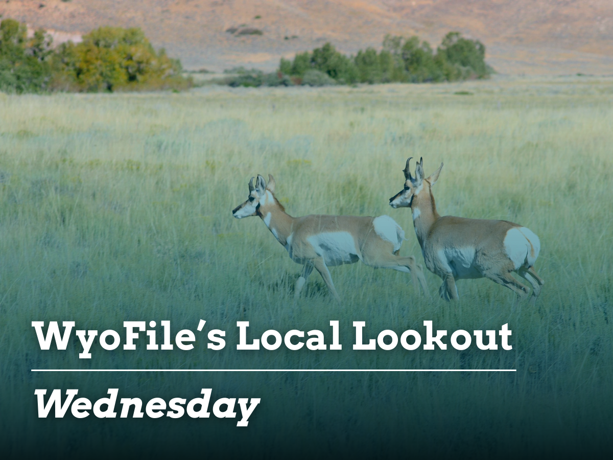 Local lookout: Firearms training | Record heat | Solar farm fears