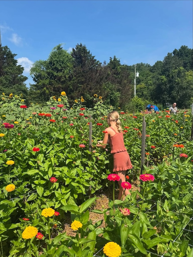 Kristen Bell and Dax Shepard's family photos with daughters