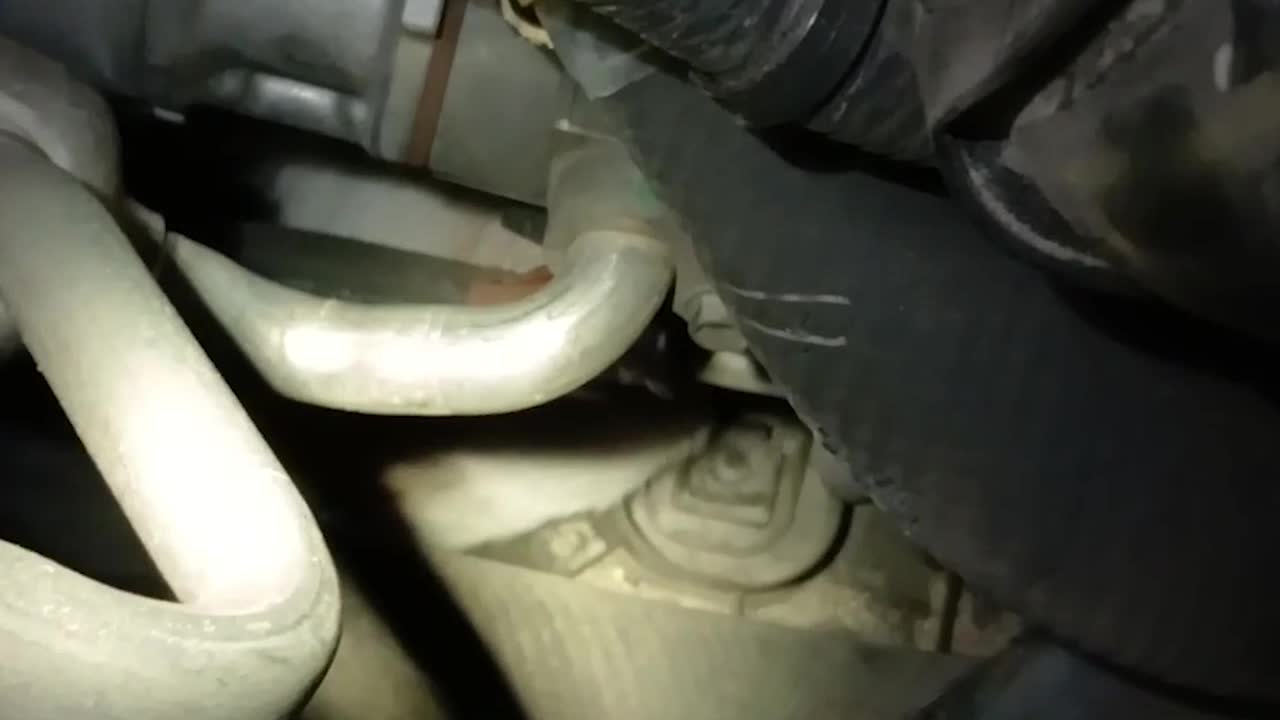 Rescue team saves kitten trapped in car engine