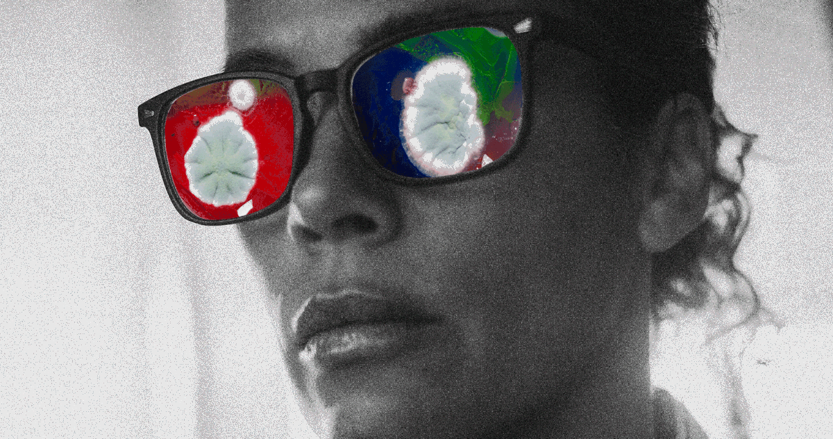 Mold Mold Everywhere