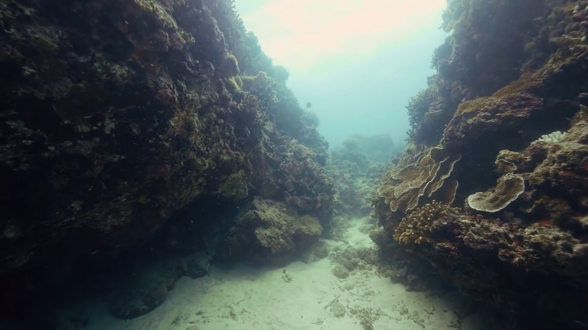 Randall Carlson Breaks Down the Ancient Mysteries