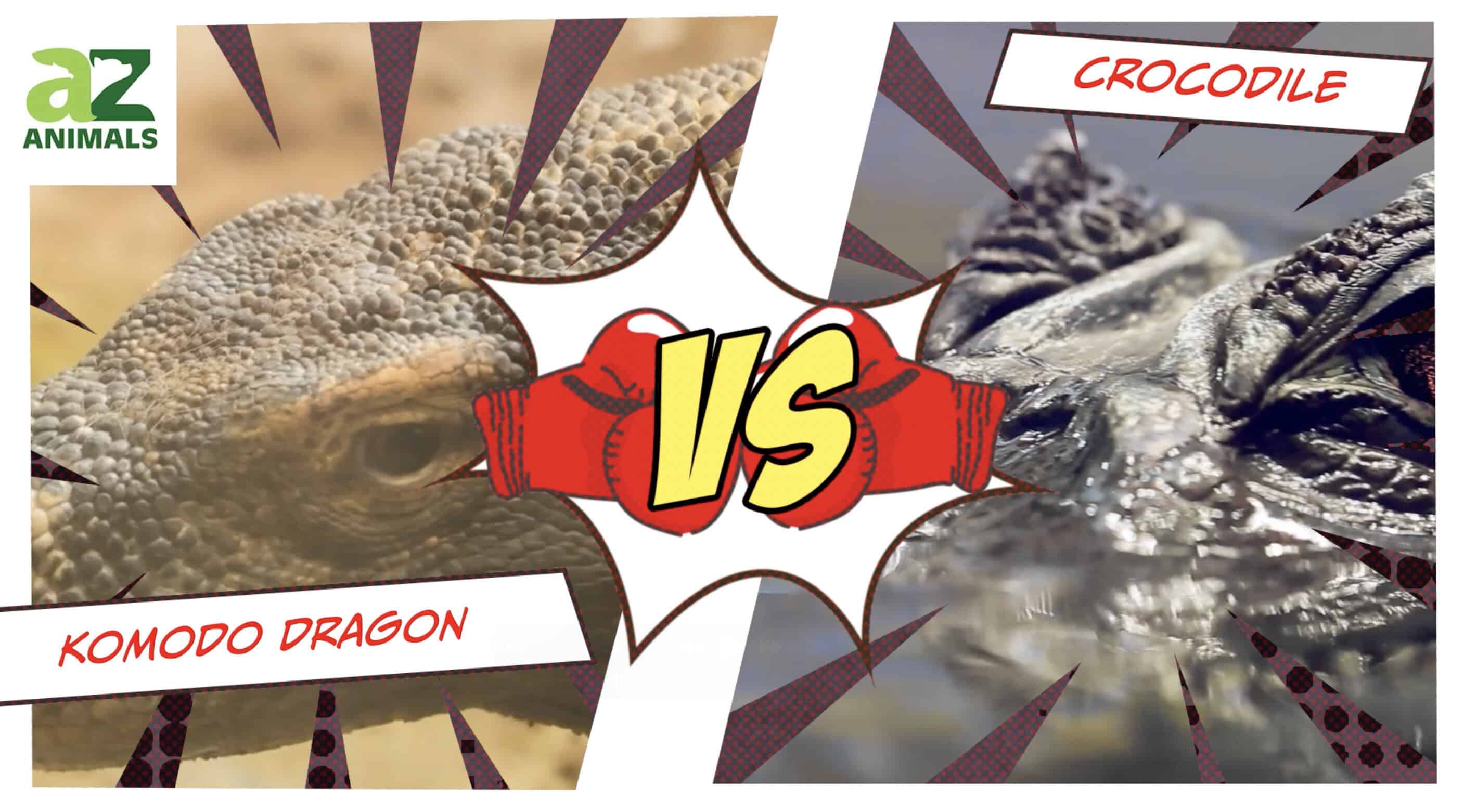 Komodo Dragon vs. Crocodile: The Ultimate Reptilian Face-Off