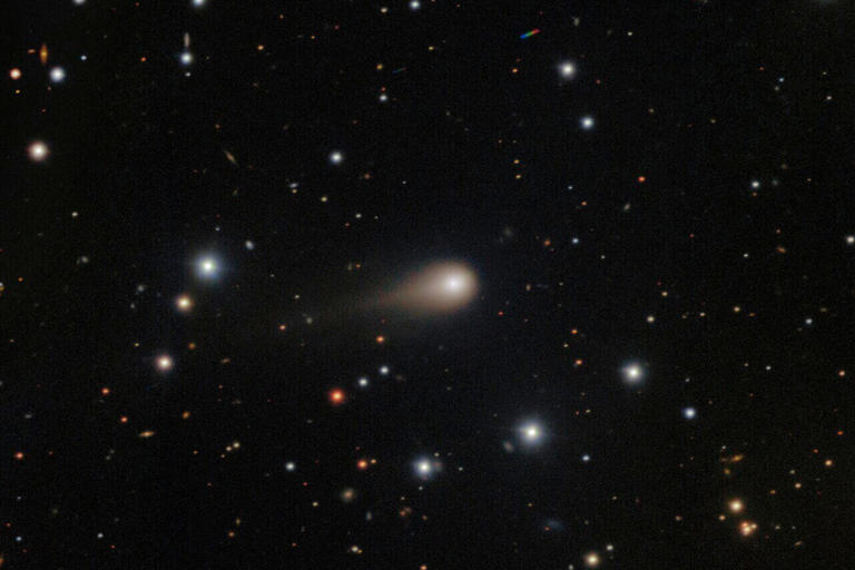 Interstellar Comet