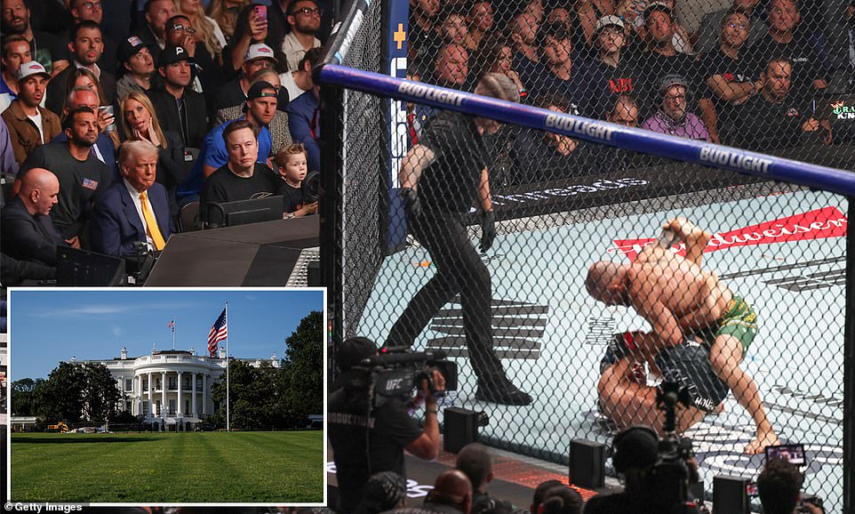 Trump moves ahead with plans for UFC fight at White House