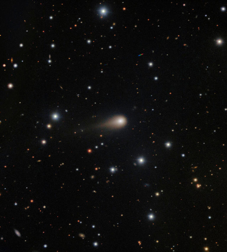 Interstellar Comet