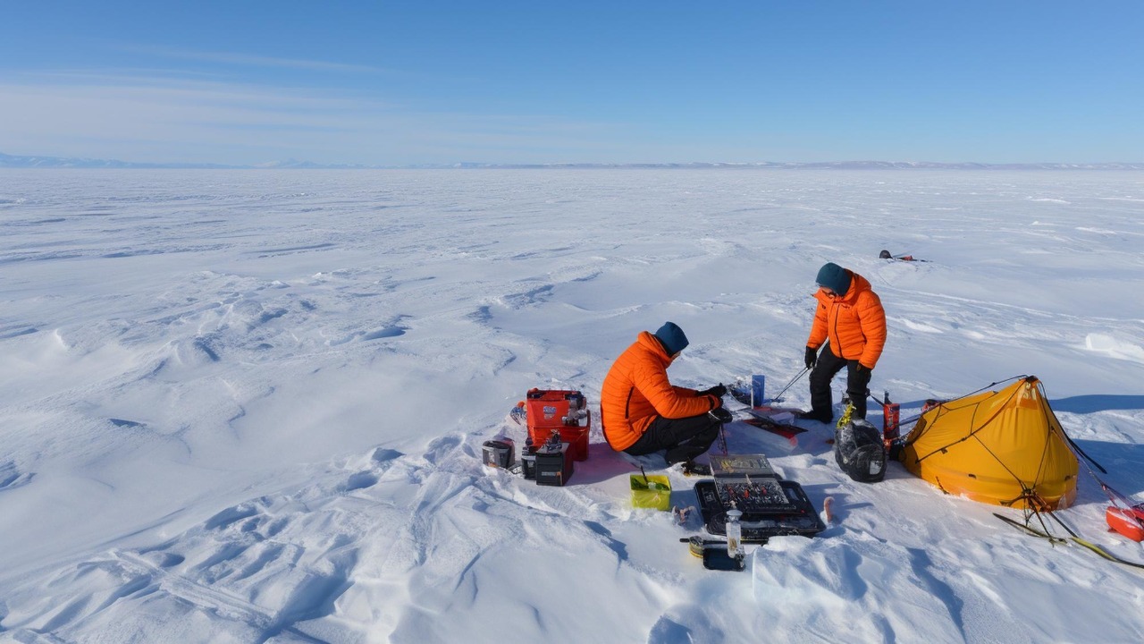 Arctic researchers found something "certainly alarming," and it