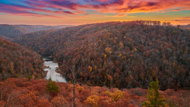 Between Nashville And Knoxville Is An Unsung Tennessee City With Small