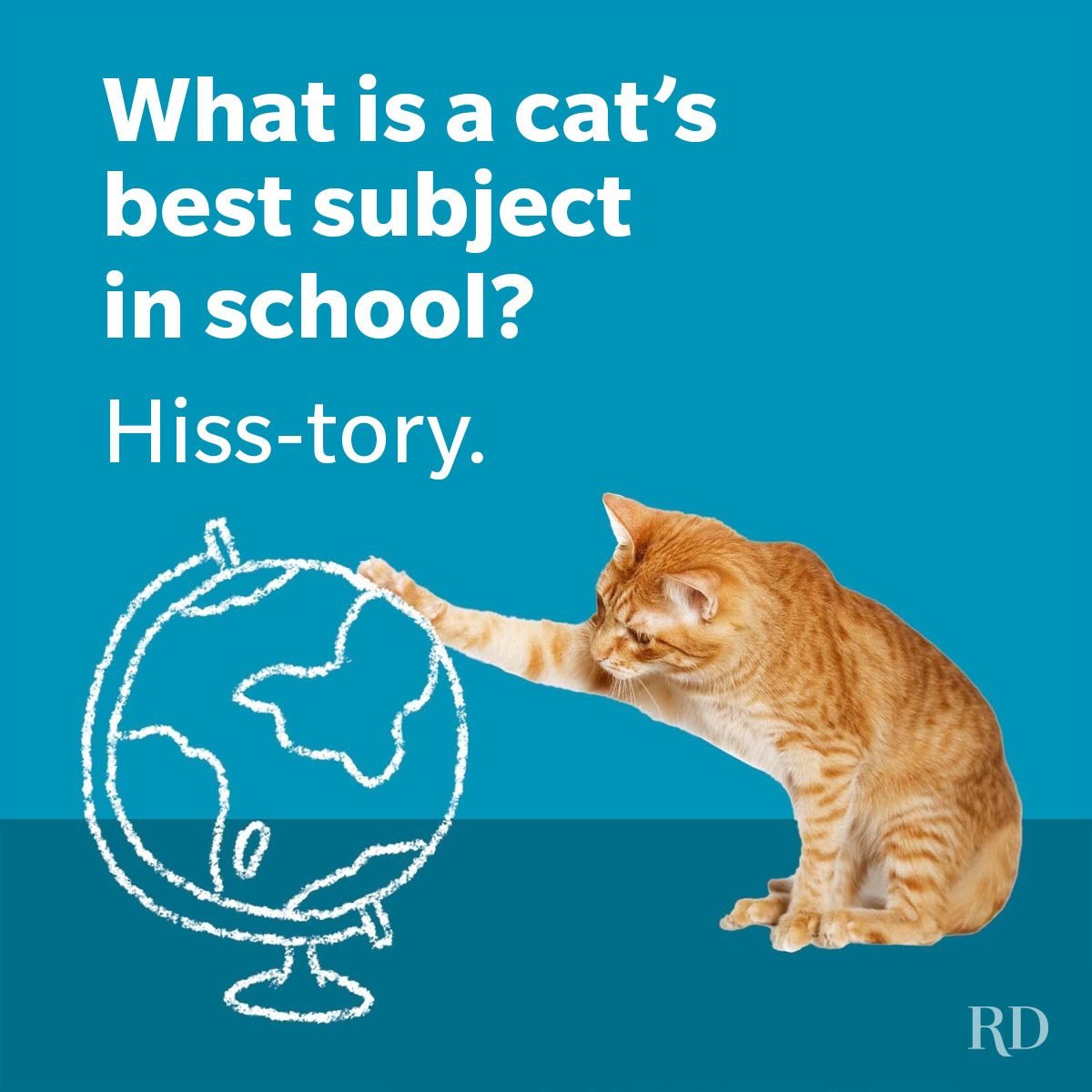 60 cat jokes that will have you in hiss-terics