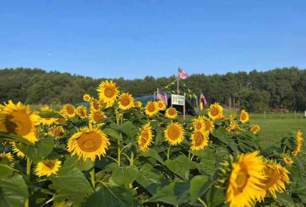 Fall 2025 Bucket List for Kids: Top Things To Do in Boston This Fall