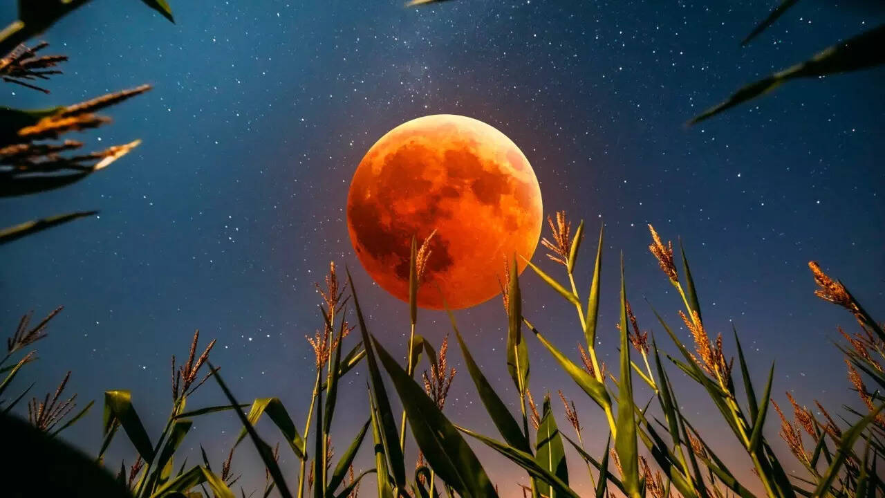 September 2025 full moon What is the corn moon? All about visibility