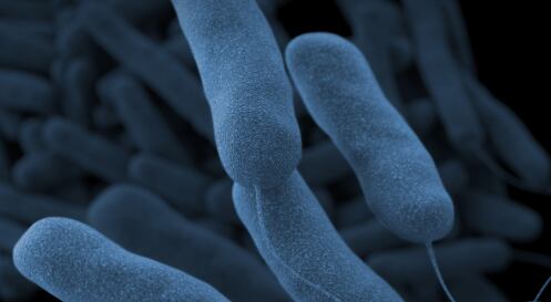 Legionnaires’ disease cases rise to 34 in central Iowa, officials say
