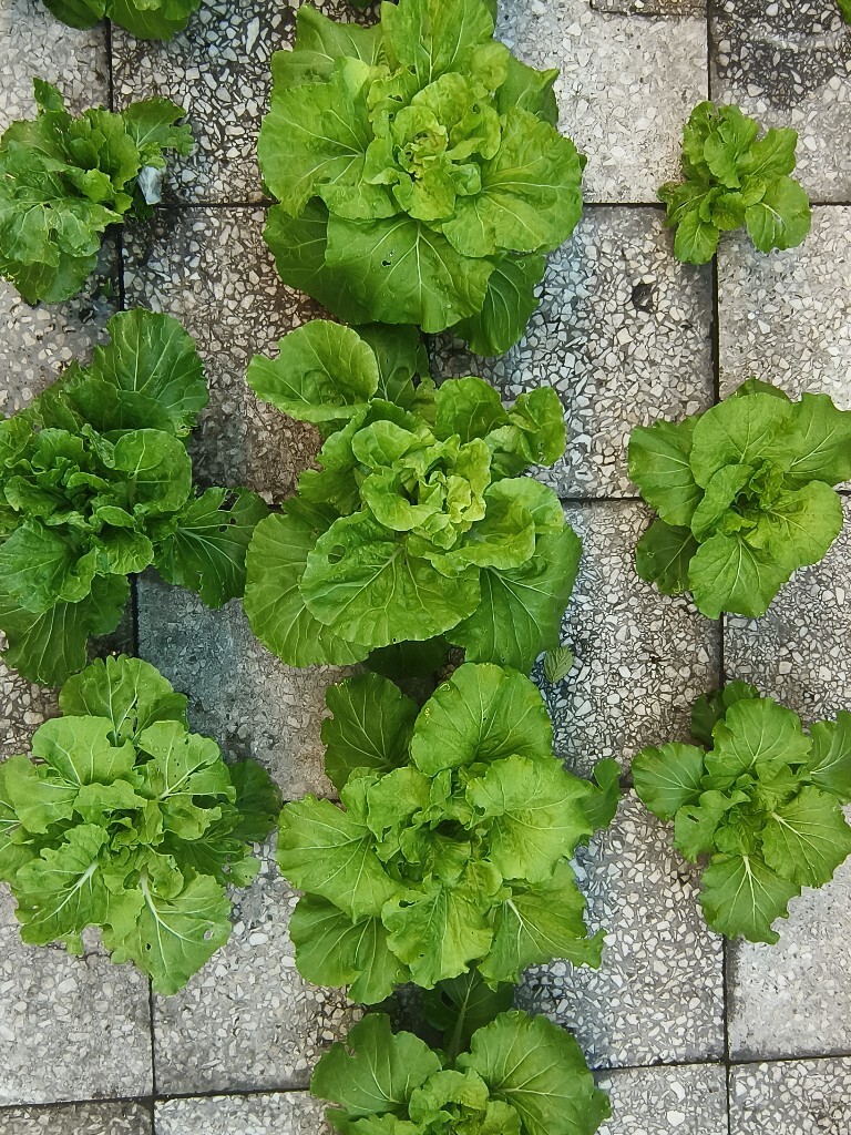 10 Surprising Actor Exits That Shook TV Fans