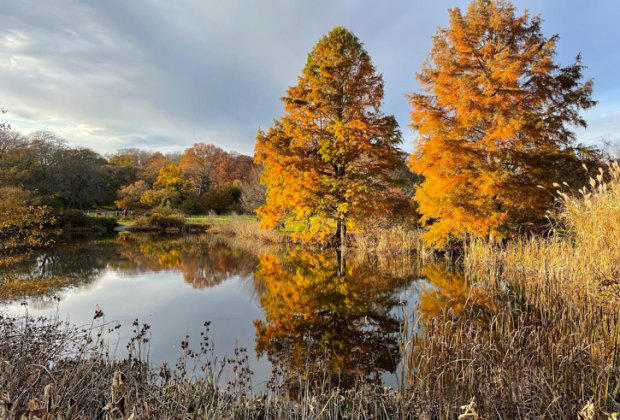 Fall 2025 Bucket List for Kids: Top Things To Do in Boston This Fall
