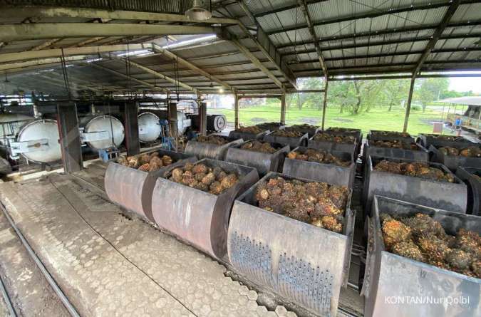 Kinerja AALI Diperkirakan Tumbuh hingga Akhir 2025