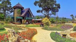 Ternyata! 10 Destinasi Wisata Puncak Bogor yang Sedang Viral