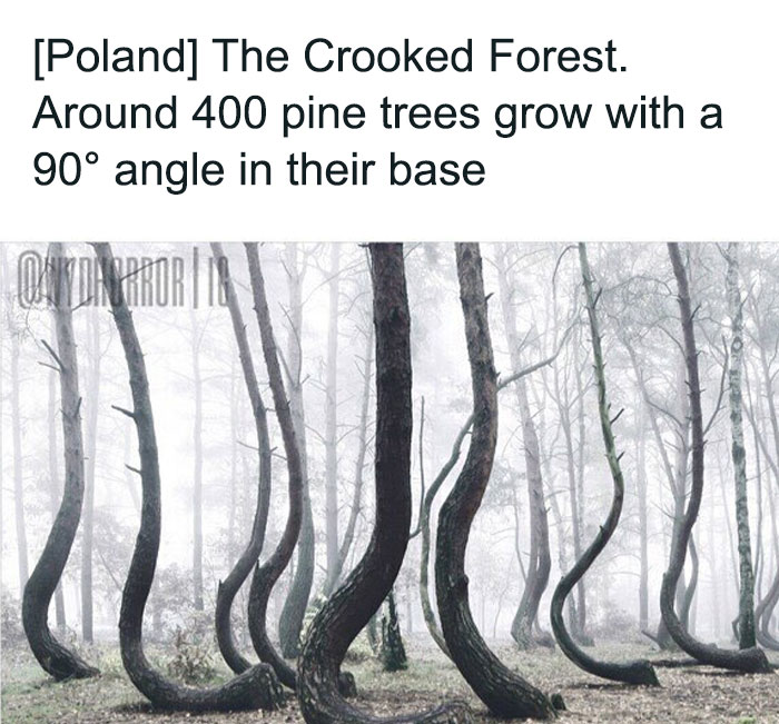 20 Creepy Real-World Facts And Pics That Are More Disturbing Than Most