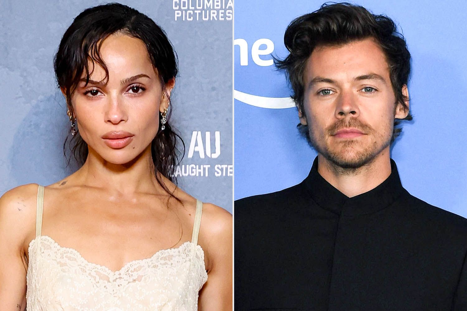 Zoë Kravitz and Harry Styles Spotted Walking Arm in Arm Together