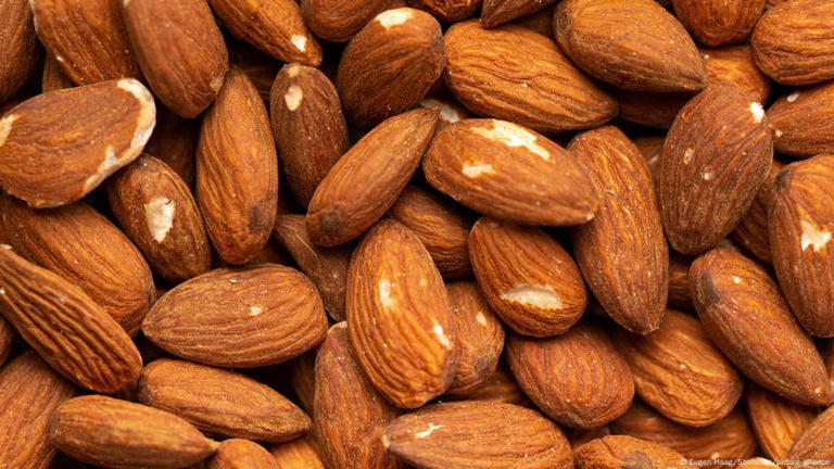 إلى جانب مضادات الأكسدة، أشار الباحثون إلى أن ألياف اللوز تدعم نمو بكتيريا نافعة في الأمعاء مثل Bifidobacterium، التي تنتج مركبات تساعد على خفض الإجهاد التأكسدي على مستوى الجسم بالكامل.