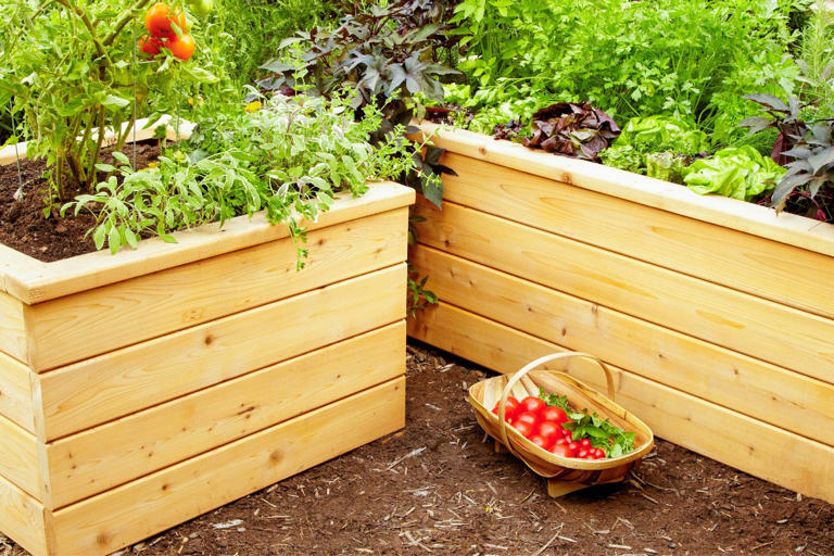 Self Watering Tomato Planter