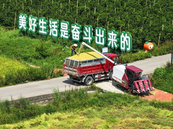 Unraveling tragedy: Germanwings Flight 9525