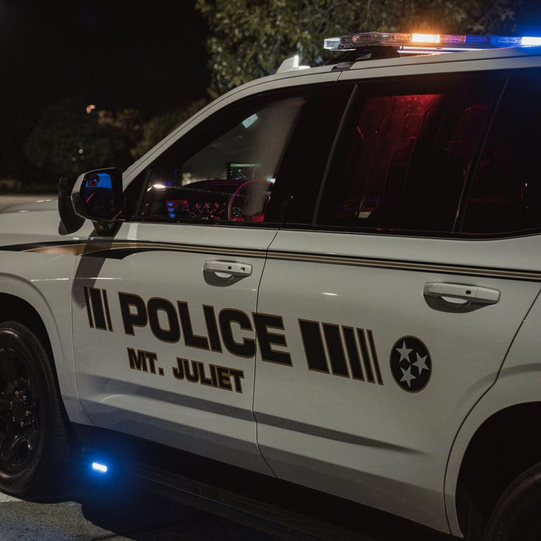 Wanted man arrested after traffic stop in Mt. Juliet