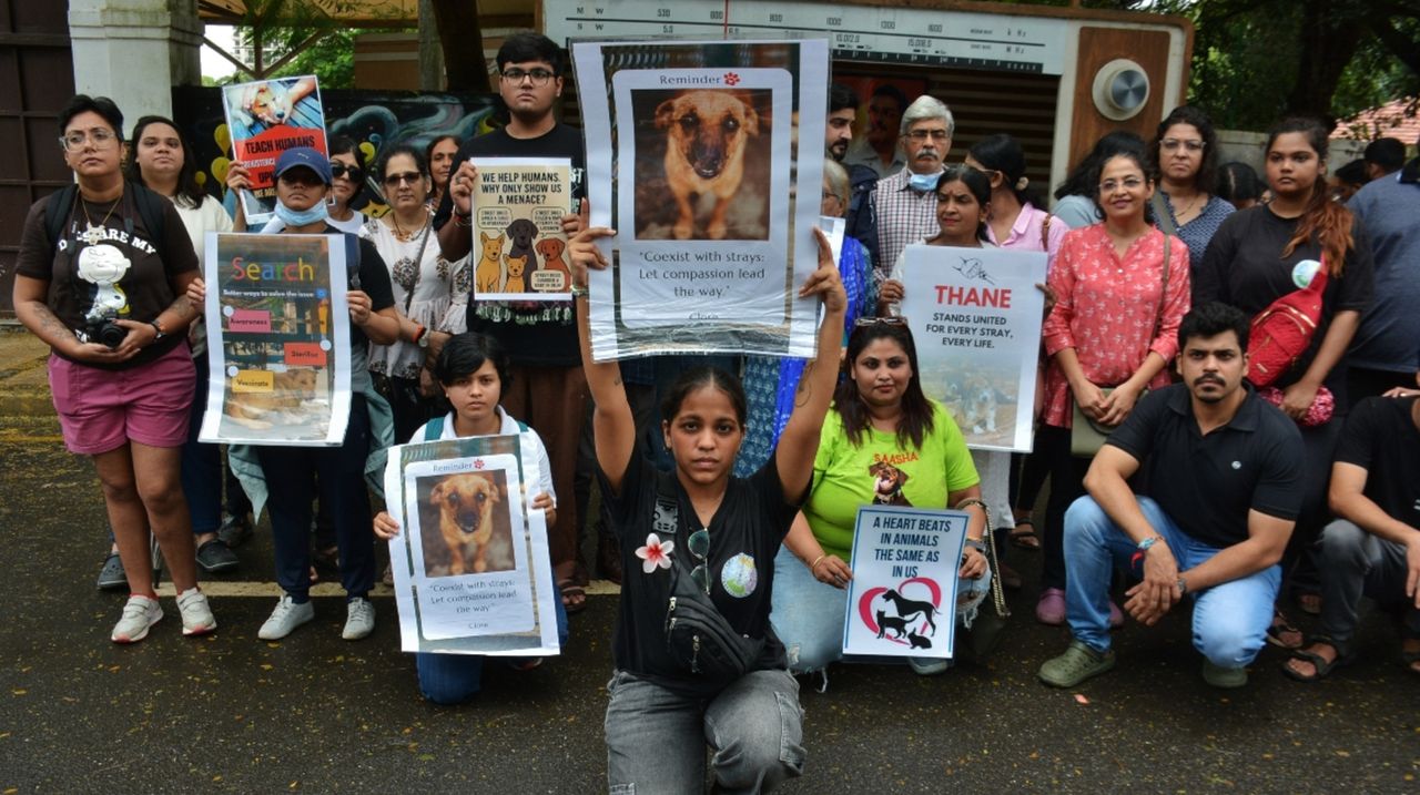 Delhi's dogs earn Supreme Court reprieve