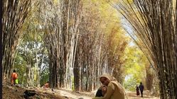 3 Tempat Wisata Keluarga Murah di Surabaya untuk Akhir Pekan