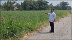41 Tahun Desa Kehilangan Hak Kelola, Tanah Kas Ngrawan Nganjuk Diserobot Pemdes Tetangga