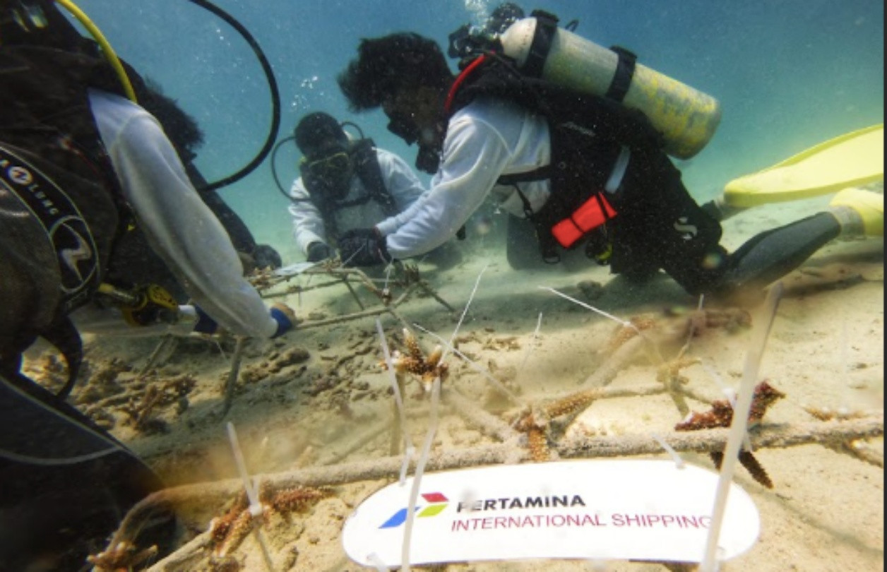 Tanam 1000 Terumbu Karang di Aceh