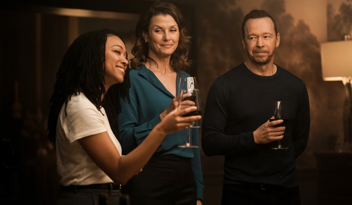 Reagan Family Reunion on Boston Blue! Get First Look at Blue Bloods Star's  Dinner Visit to