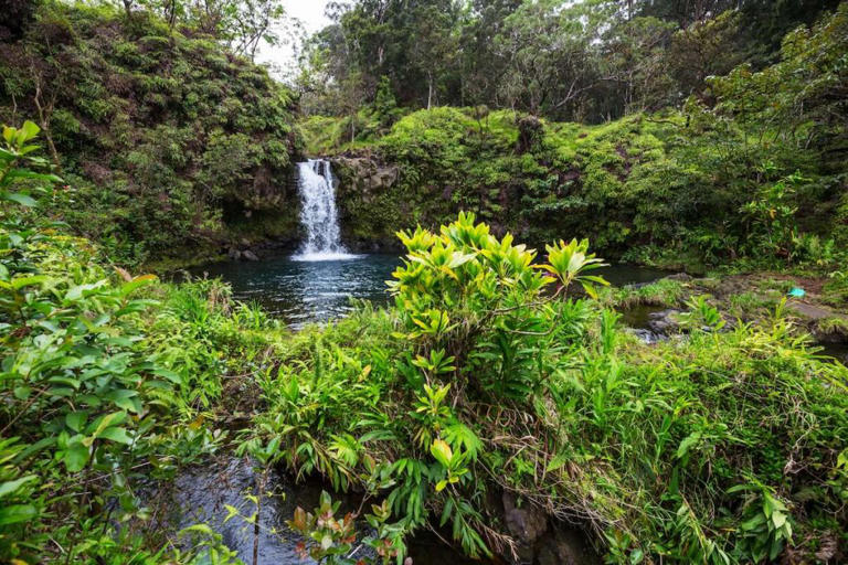 Skip-generation Hawaii travel: The ultimate guide to grandparent ...