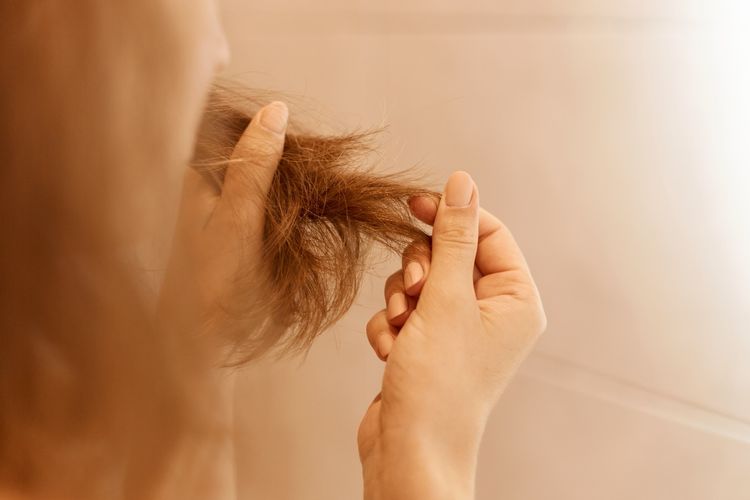 Hanya Bahan Alami, 7 Cara Efektif Cegah Rambut Bercabang untuk Rambut Sehat dan Mengilap