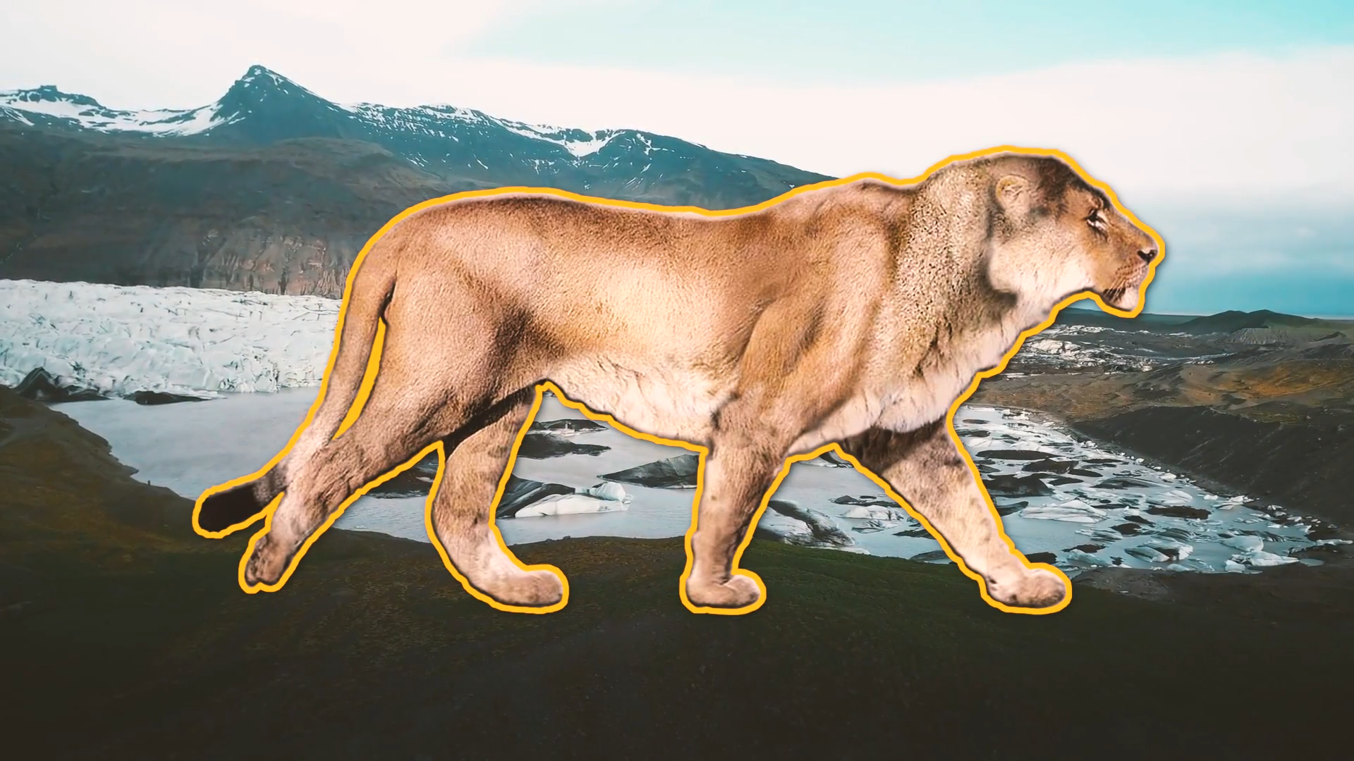 When Lions Roamed Europe And Ruled The Wild