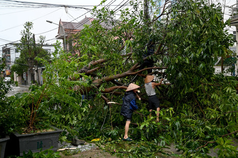 Foto: Topan Kajiki Landa Vietnam, 3 Tewas dan Pohon Tumbang