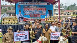 Festival Domba Sakub Brebes, Ikon Peternakan Jawa Tengah yang Membanggakan Indonesia
