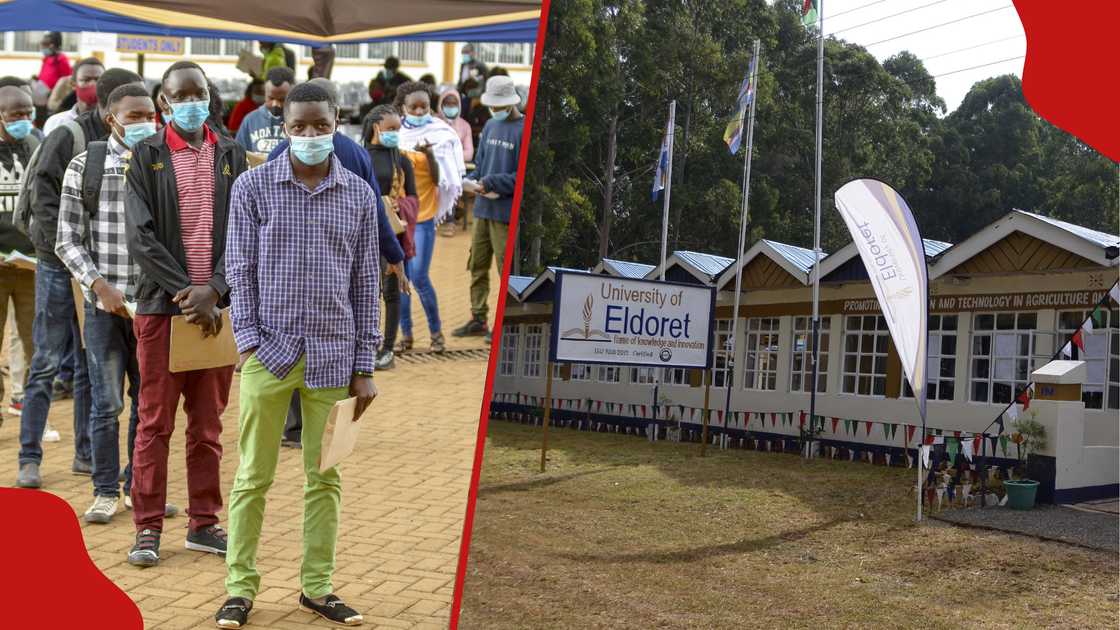 Universitas Eldoret mengumumkan 18 lowongan pekerjaan untuk profesional Kenya