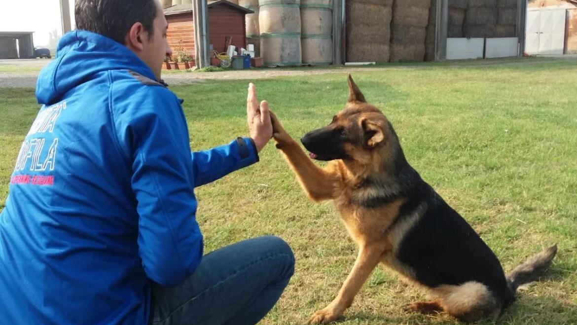 È morta Sally colonna dei “Lupi dell’Appennino Reggiano”