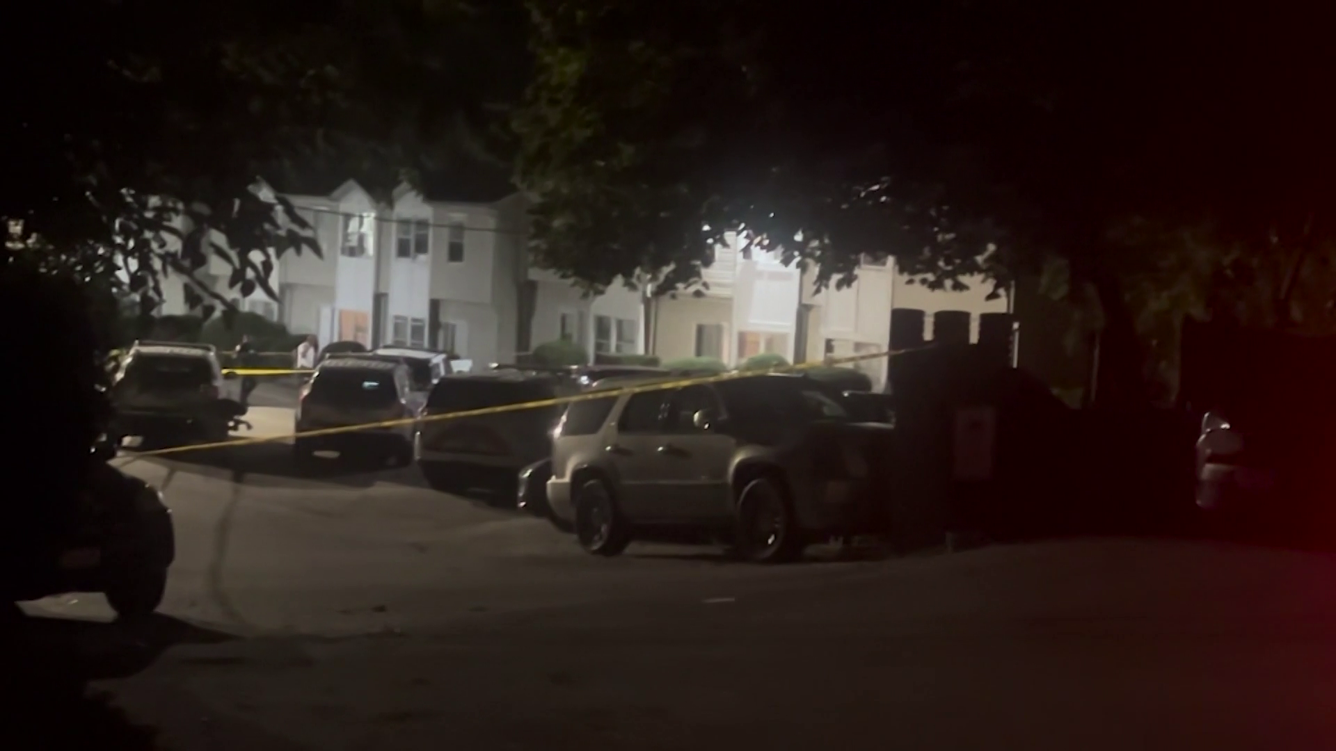 Dog fatally shot by Boston officers after mauling woman, police say