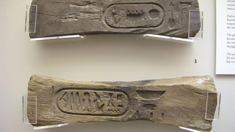 Ancient stone carvings depict aircraft-like machines