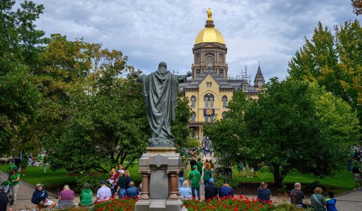 One Out Of Five Faculty Jobs Still Require Dei Statements Universities