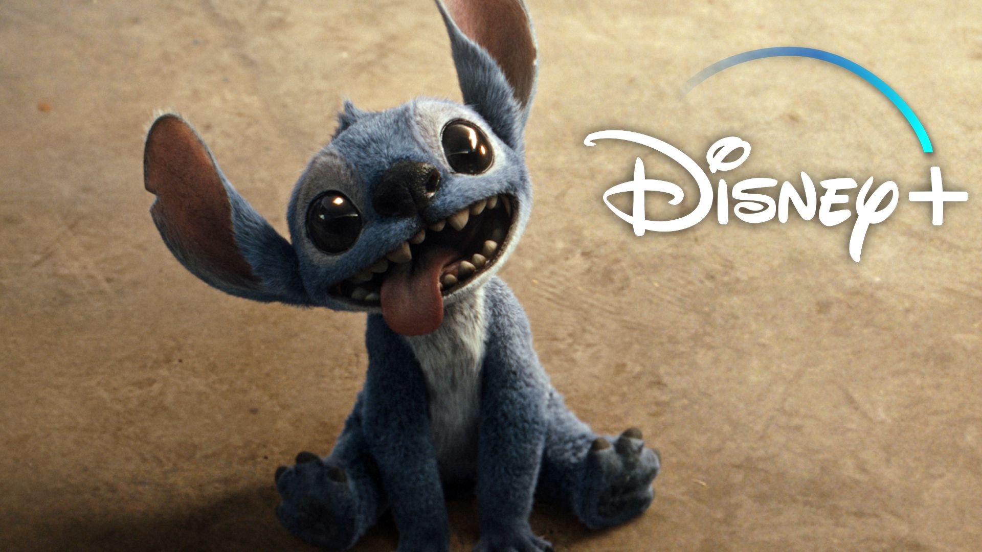 Neu auf Disney+: Alle Filme und Serien in der Übersicht – September 2025