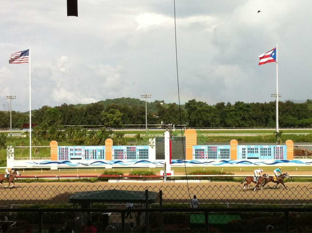 Puerto Rico: Multiple horses dead after contaminated injections ...