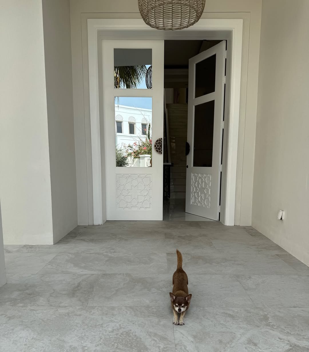 Rio and Kate's dog outside the house.