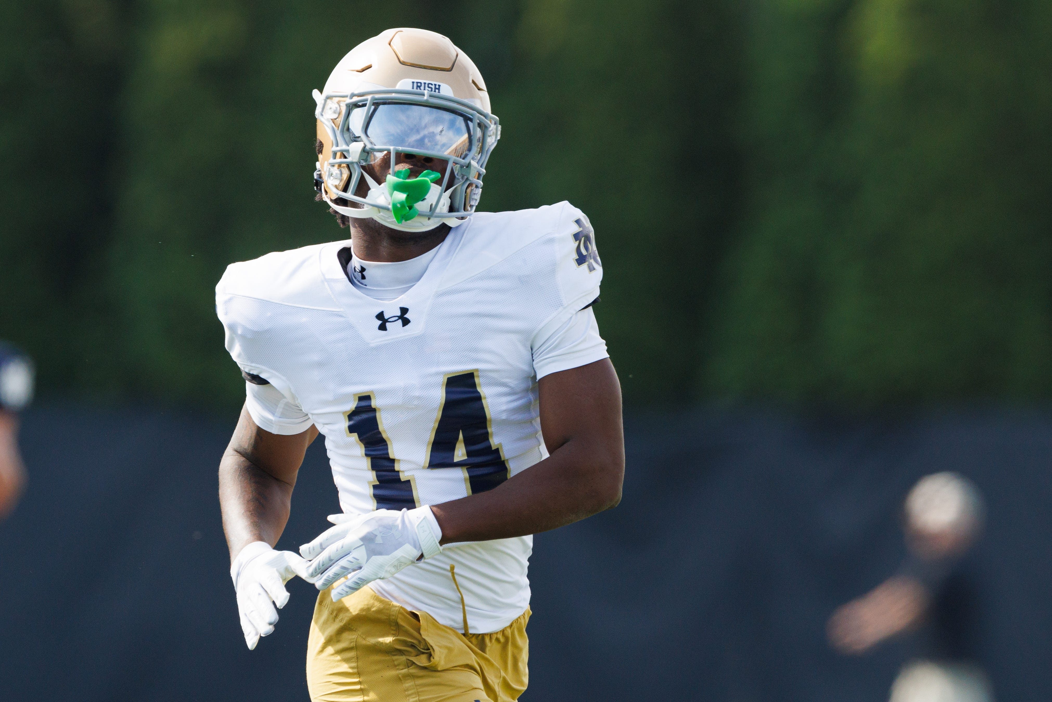 Notre Dame's Dallas Golden named to Shaun Alexander freshman of the ...
