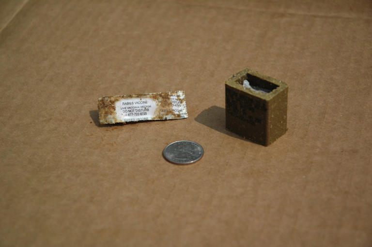 Rabies vaccines being dropped from planes in some West Virginia counties