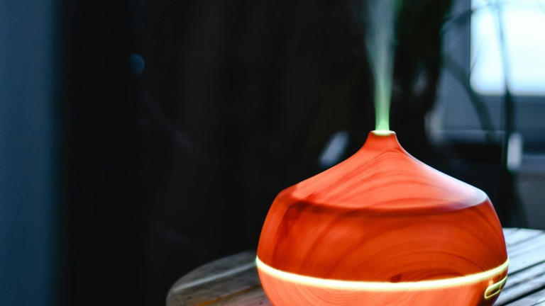 Humidifier, Dehumidifier, Diffuser, Air Purifier, Mana yang Cocok untuk ...
