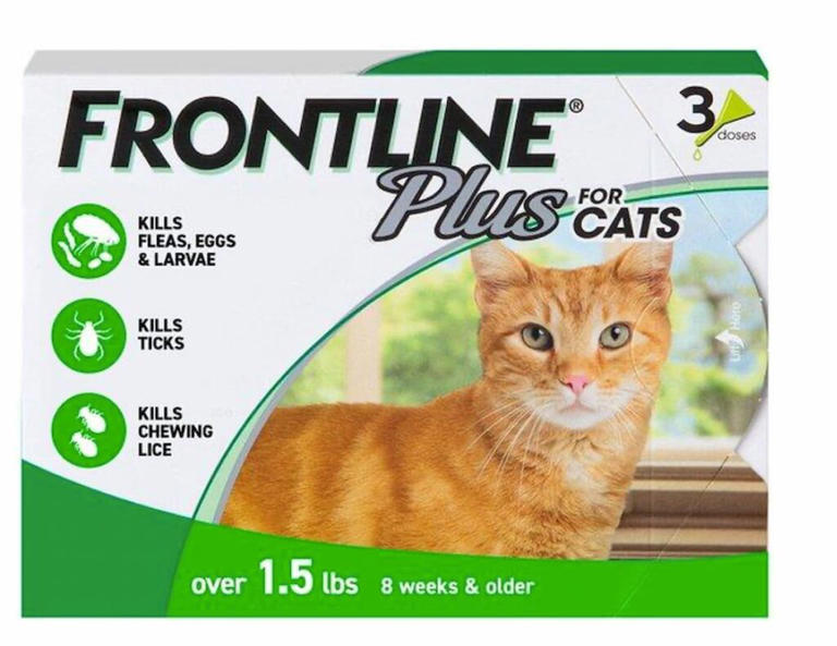 View of Year-Round Flea and Tick Prevention: Why It Matters