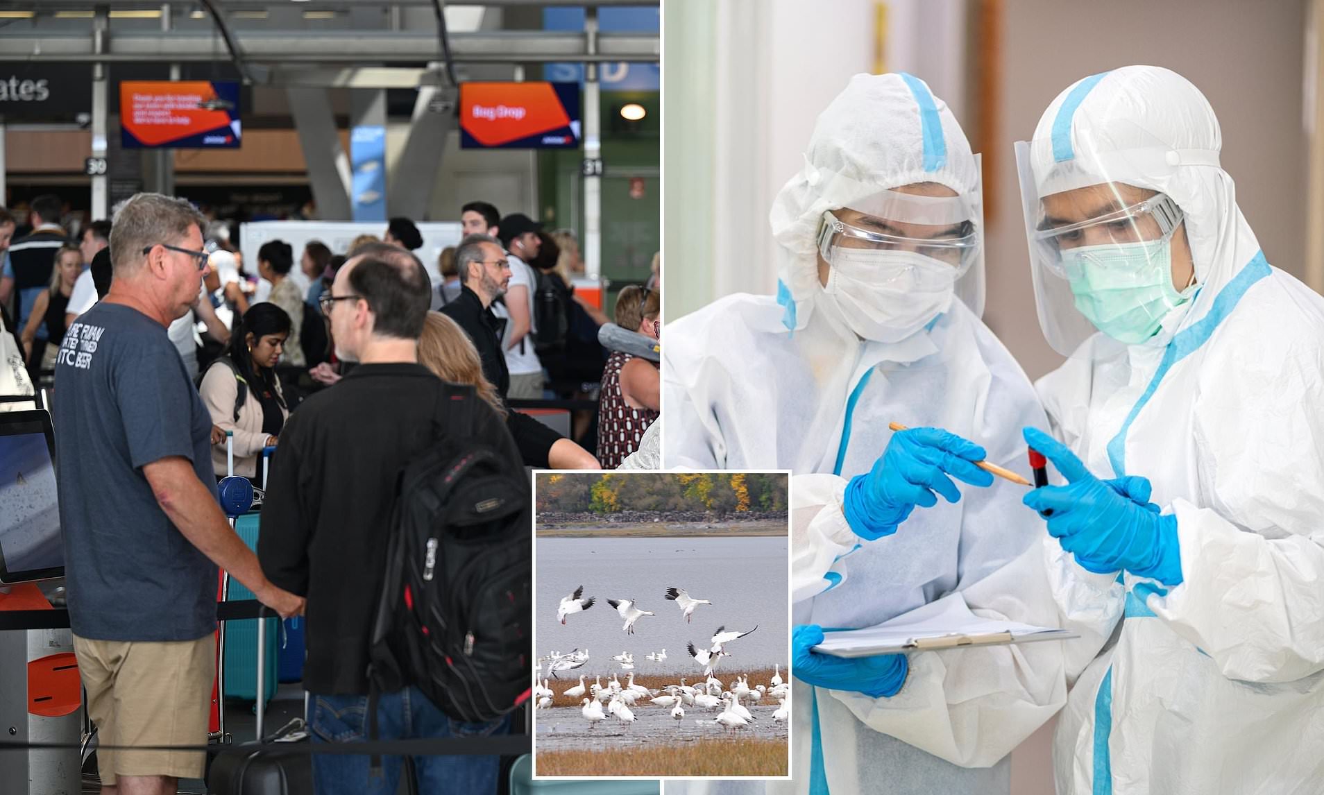 Urgent warning deadly outbreak will 'almost certainly' reach Australia
