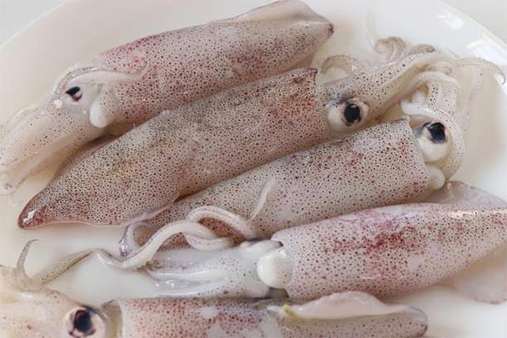 Bí quyết xào mực không ra nước: Trước tiên là chọn mực tươi. (Ảnh: Istock)