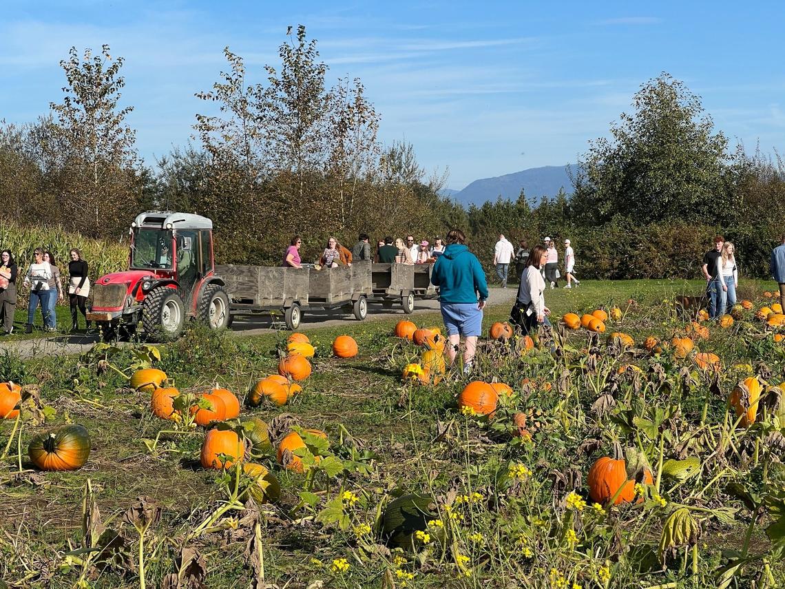 Lynden farm recognized as one of Washington's best spots for a ‘fall fix'